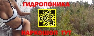 ECSTASY Лесосибирск