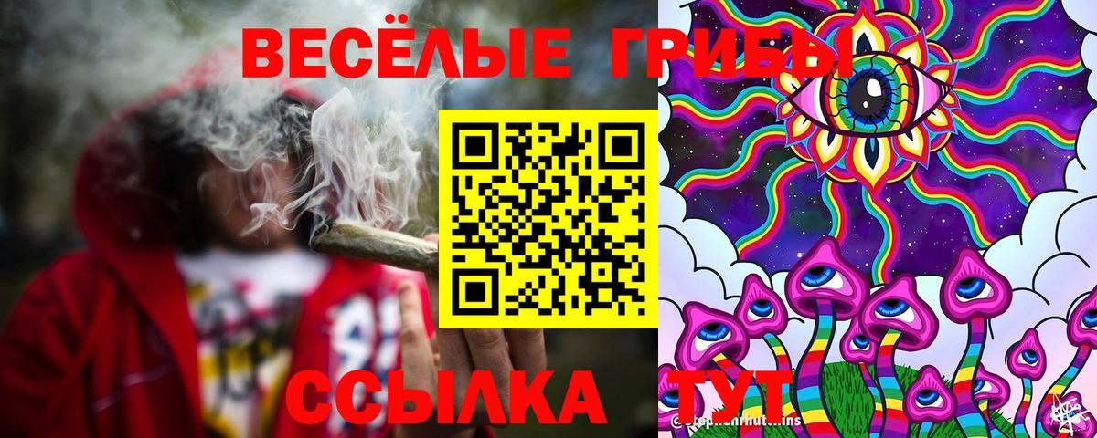 Псилоцибиновые грибы ЛСД  Вход с VPN  Каменск-Шахтинский 