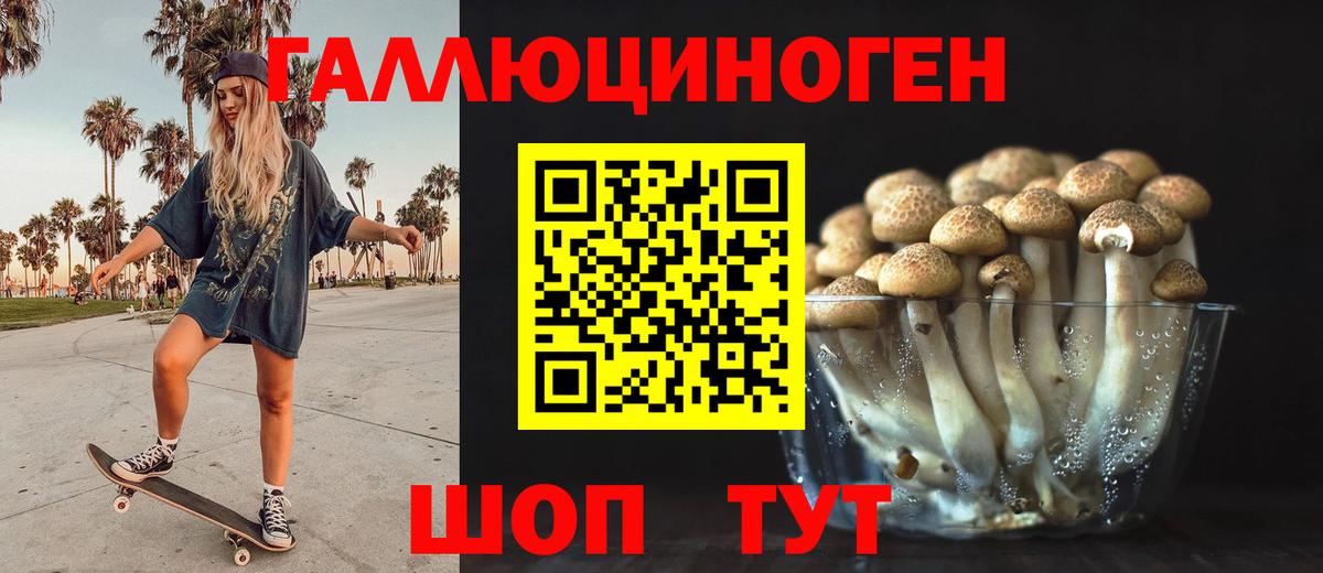 Псилоцибиновые грибы ЛСД Каменск-Шахтинский